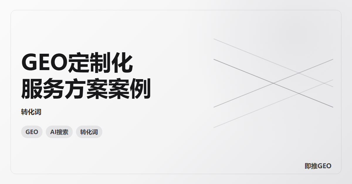 GEO定制化服务方案案例